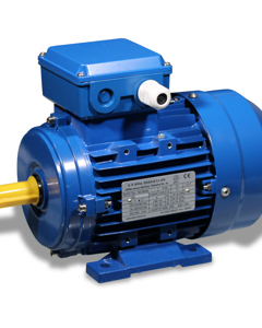 Electric motor 0.55KW 230/400V 50HZ 900r d19 B3